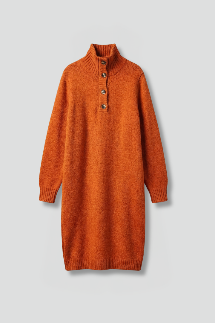 Women’s Jumper Dress with High Neck and Button Placket