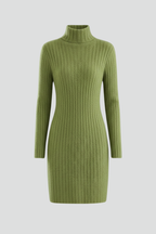 Women’s Mini Dress with High Neck and Long Sleeves