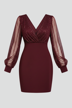 Women’s Mini Dress with V Neck and Sheer Sleeves