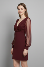 Women’s Mini Dress with V Neck and Sheer Sleeves