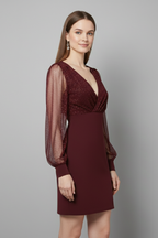 Women’s Mini Dress with V Neck and Sheer Sleeves